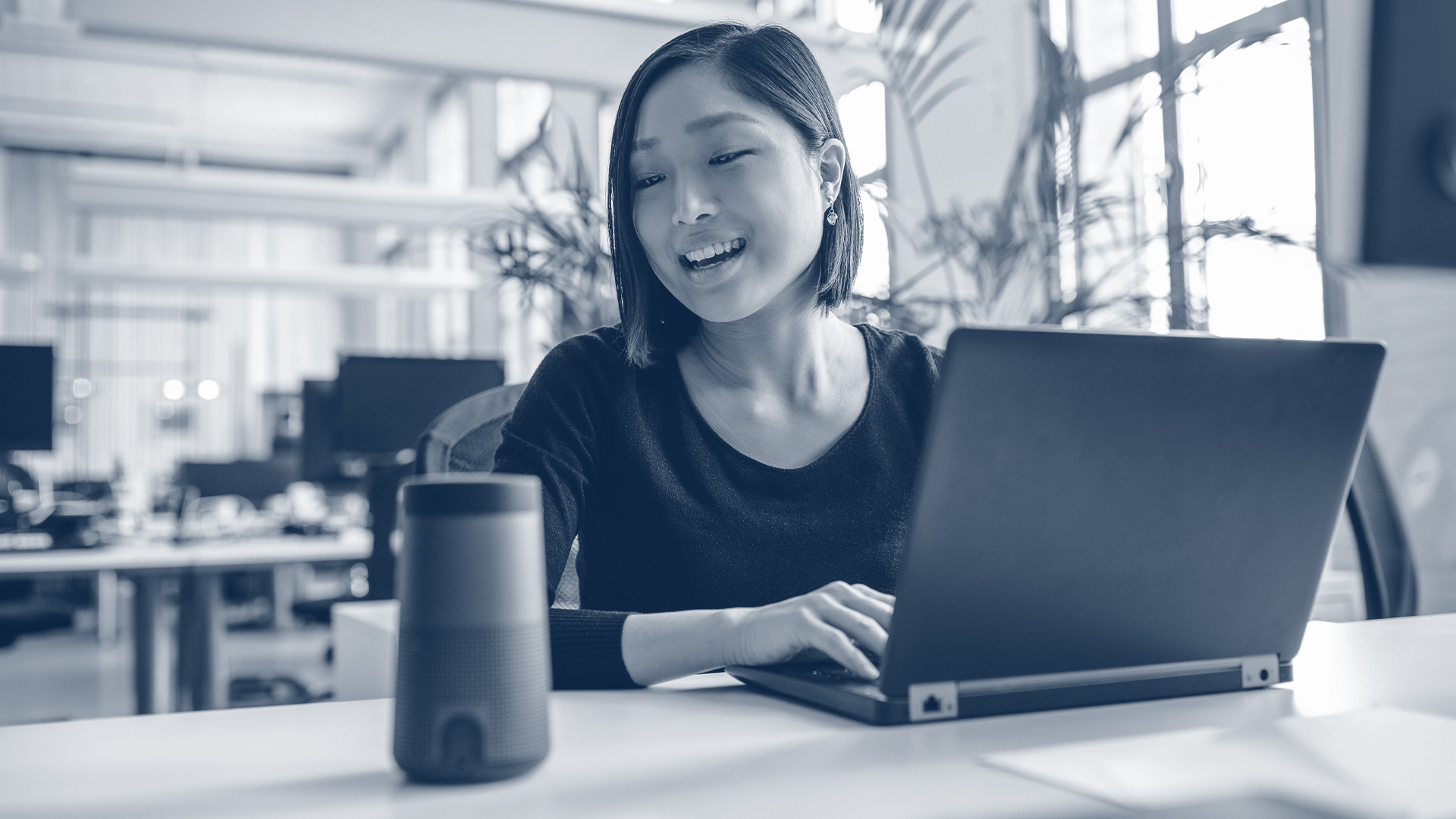 A Machine Learning Primer BIP Consulting